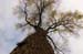 nature1