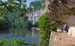 nature3
